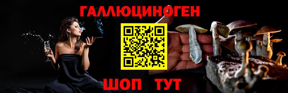 Псилоцибиновые грибы Psilocybe Славянск-на-Кубани