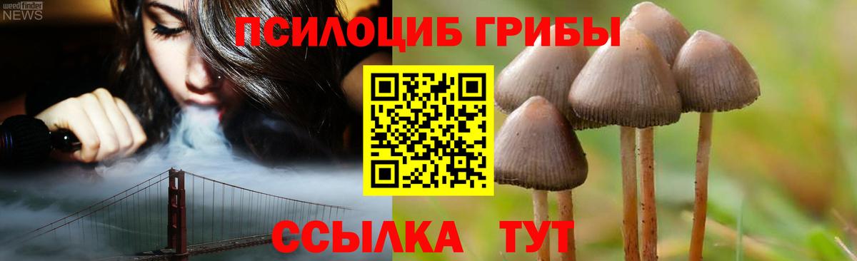 Псилоцибиновые грибы мицелий  Вход с VPN  Славянск-на-Кубани  как найти   Псилоцибиновые грибы Psilocybine cubensis 
